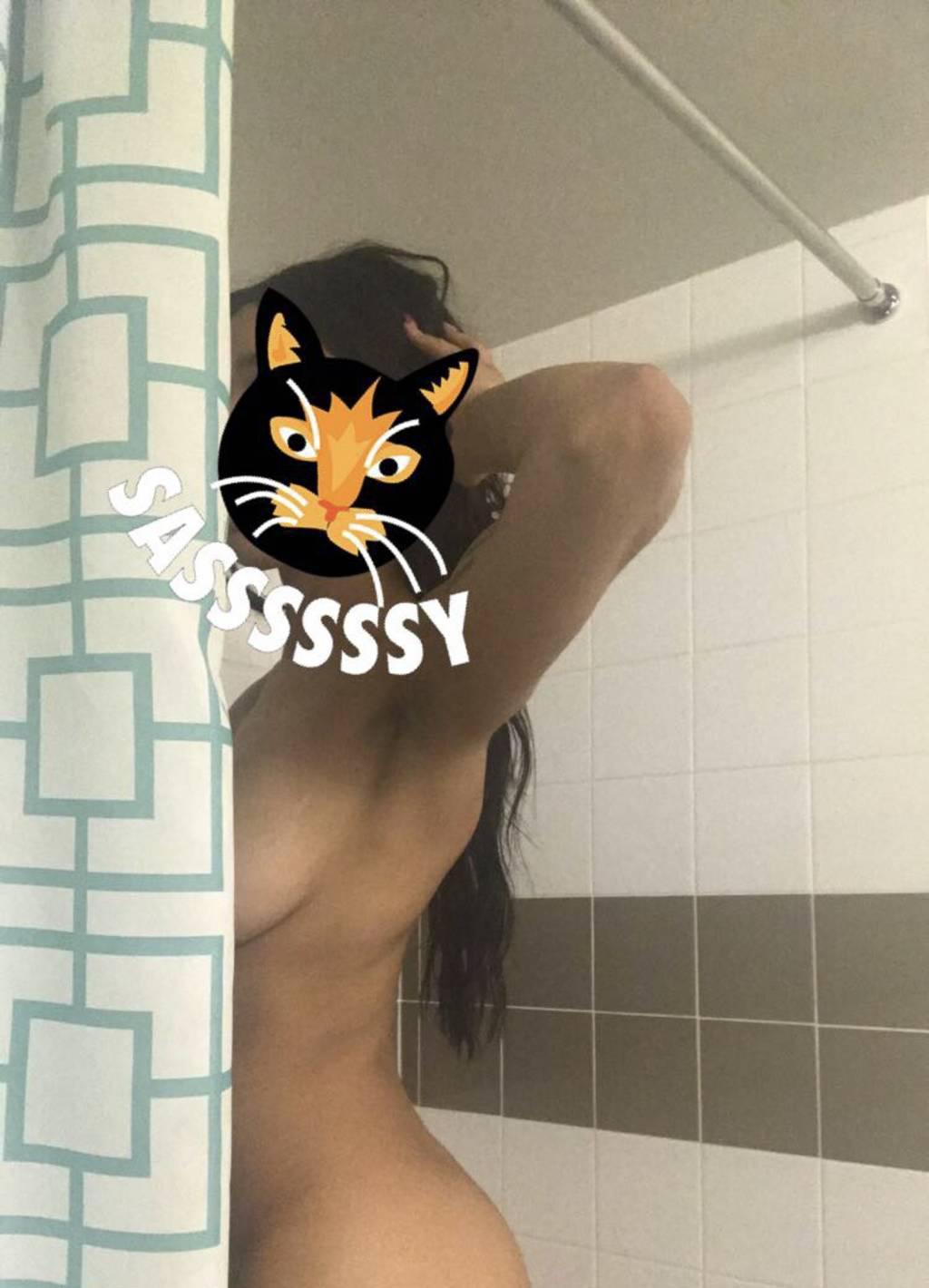 Fun & Feisty Wild Willow Jade VIP Companion