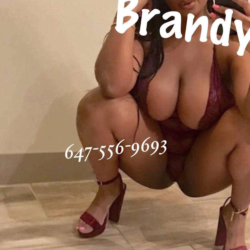 BRANDY BUSTY SQ UIRTER BIG BOOTY Sexy PARTY GIRL